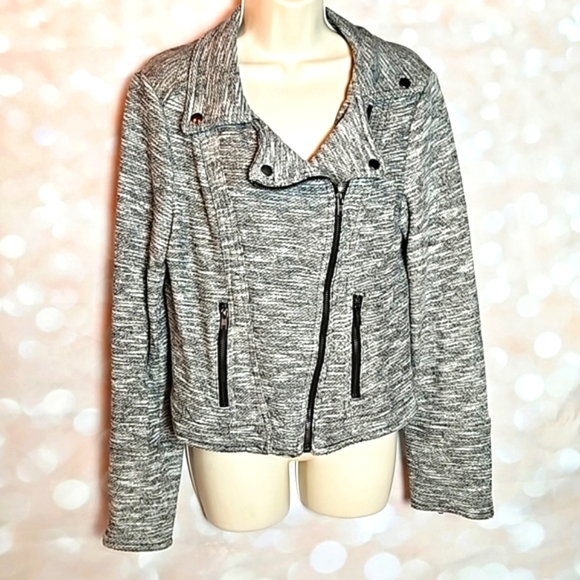 Market & Spruce Jackets & Blazers - Market & Spruce | Gray French Terry Moto Jacket